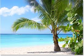 tropical beach backgrounds