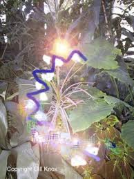 Migraine Aura. by Gill Knox