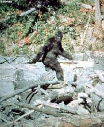 bigfoot hoax