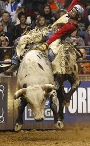 pbr bull riders