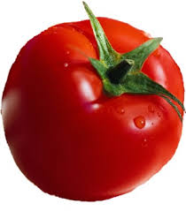    Tomato