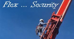 flexsecurity