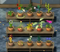 Plant tycoon