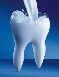 imagen8 Dientes a partir de Células madre