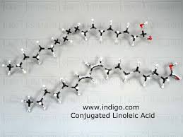 conjugated linoleic acid model