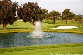 Torrey Pines Golf Course
