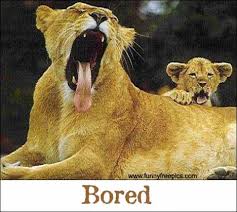 bored Bored Faces on Google Images