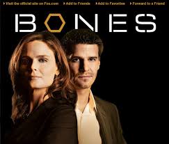 Strane serije sa prevodom - Bones ep 12 - The Superhero in the Alley