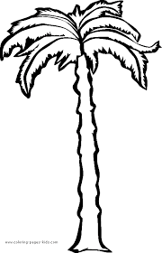 palm tree coloring sheets