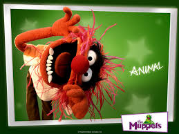 Animal - The Muppets Wallpaper