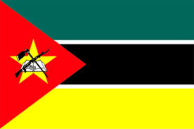     2010 Mozambique