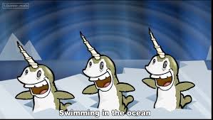 narwhals