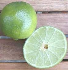 citrus lemon tree