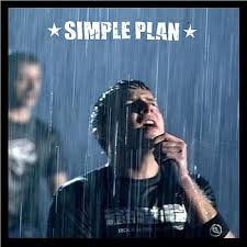 simple plan perfect