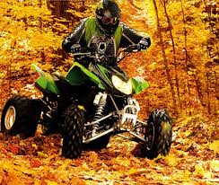 2007 Arctic Cat DVX 400 ATV