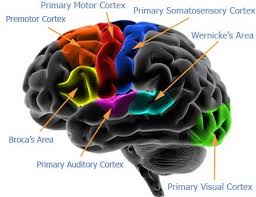 A cerebral palsy boy was
