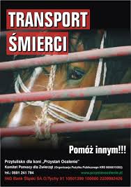 konie-rzeź