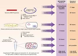 The CopyControl� BAC Cloning