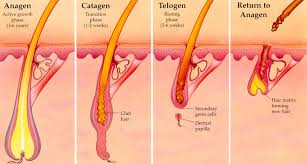 fort myers hair removal