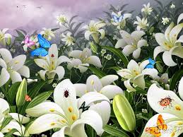 butterflies flowers pictures