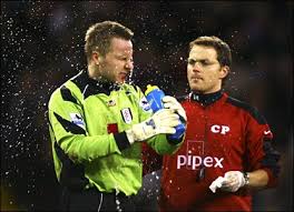 Fulham keeper Antti Niemi