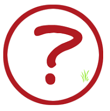 http://t3.gstatic.com/images?q=tbn:abrD-2XrnTpTkM:http://62.149.217.252:8092/asiac/space/start/Help+&+FAQs/Domande+generali/domanda.gif