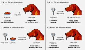 Ver imagen en tama&ntilde;o completo