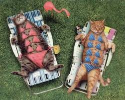 get a tan