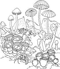 mushroom coloring pages