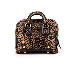dolce gabbana leopard