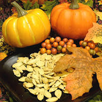 Toasted Pumpkin Seeds Recipes