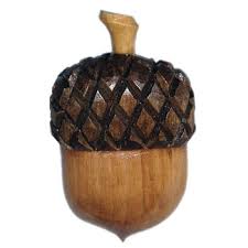 acorn