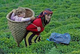 karadeniz
