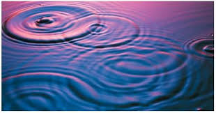 http://t3.gstatic.com/images?q=tbn:bQmXd9QCZFBLLM:http://www.scienceclarified.com/images/uesc_06_img0317.jpg