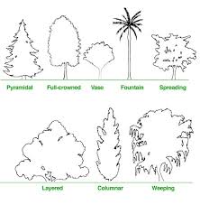 tree pictures
