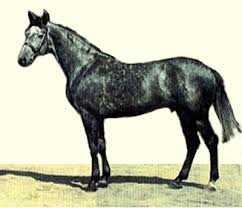 képek