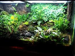 vivarium