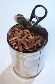 iStock_can%20of%20worms.jpg