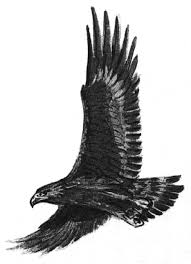 See full size image