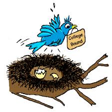 empty nest