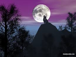 howling wolf wallpaper