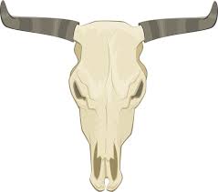 bull skull clip art