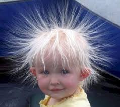 funny pictures for kids
