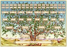 Albero%2520genealogico Ricostruisci il tuo albero genealogico con nati in Trentino dal 1815 al 1923