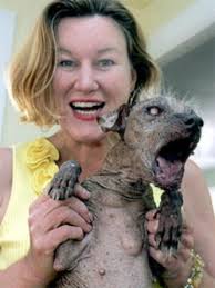 worlds ugliest dog