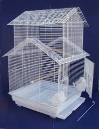 love bird cages