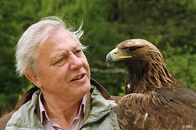 david attenborough