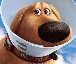 up dog