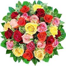 Ver imagem em tamanho real