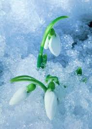 Bir M�sl�man� Sevindiren Kimsenin Sevab� ile ilgili hadis